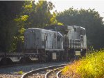 VLI 2596